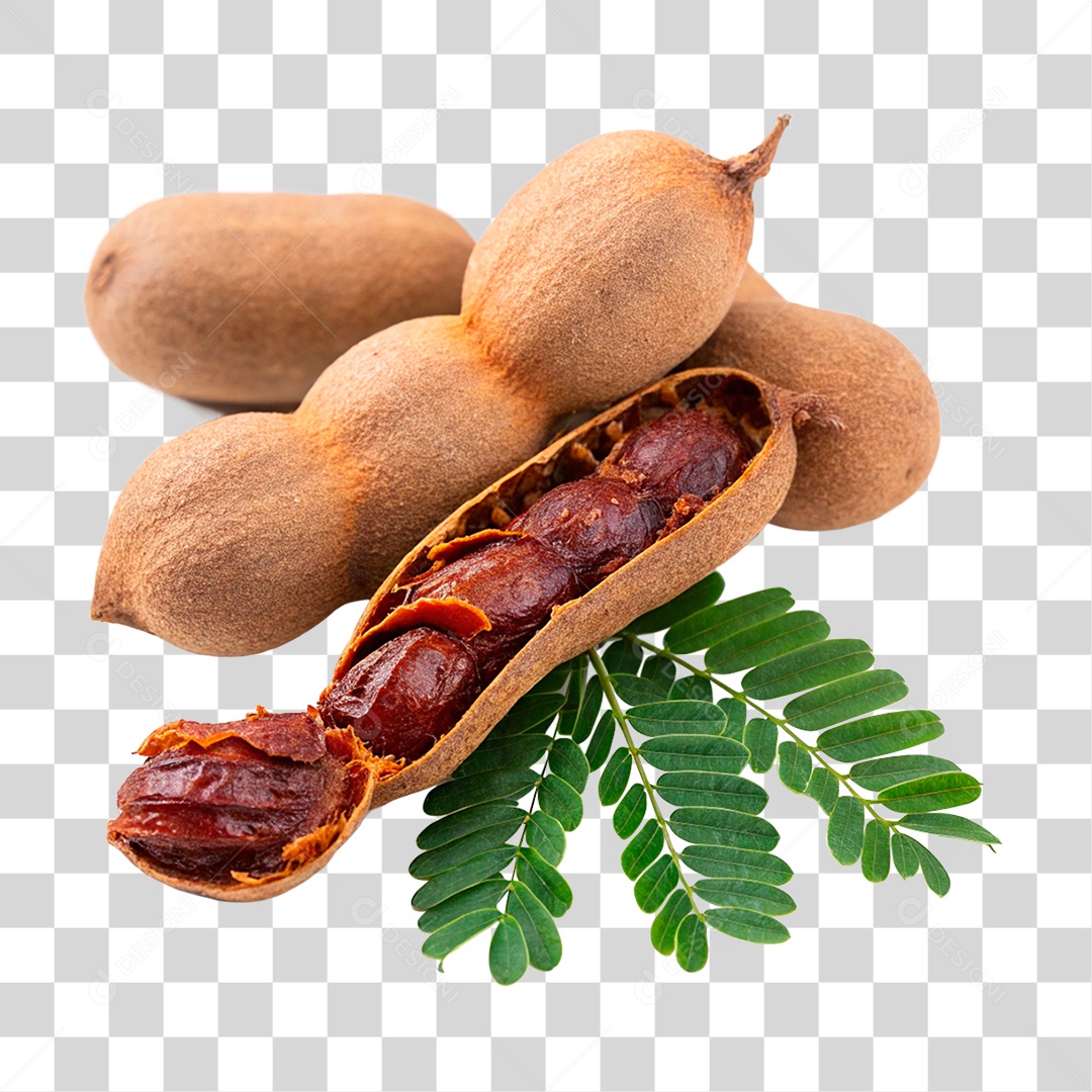 Tamarindos PNG Transparente