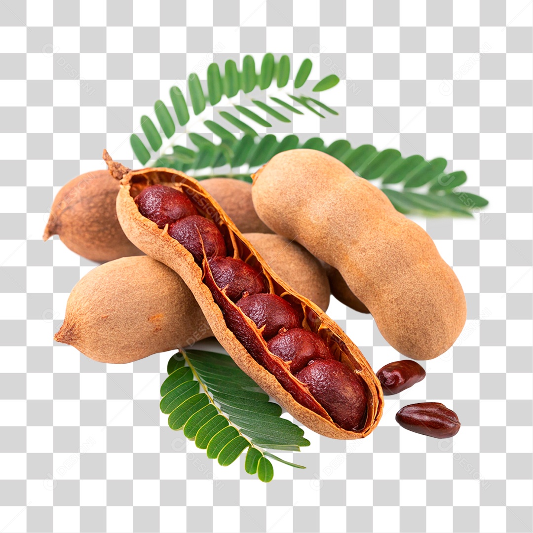 Tamarindos PNG Transparente
