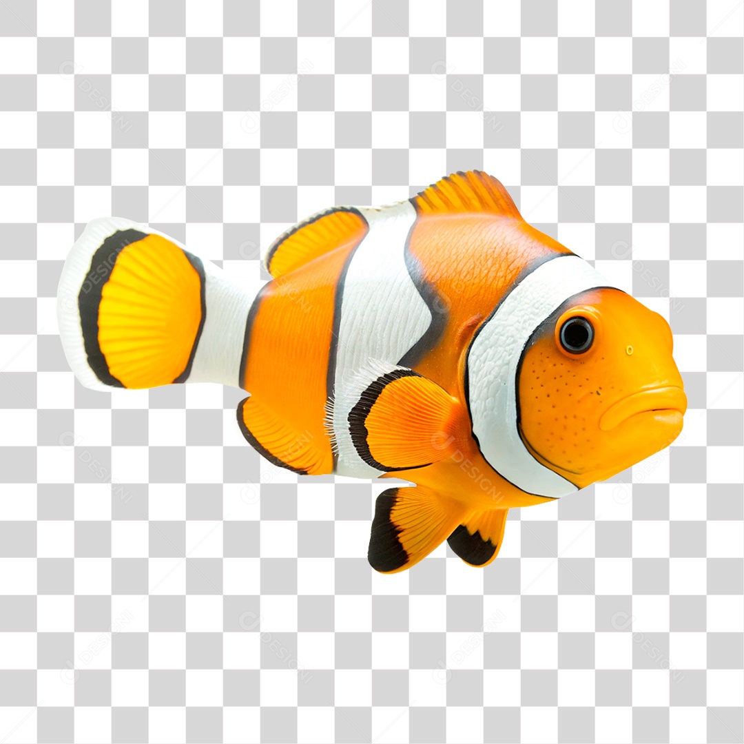 Peixe Palhaço PNG Transparente