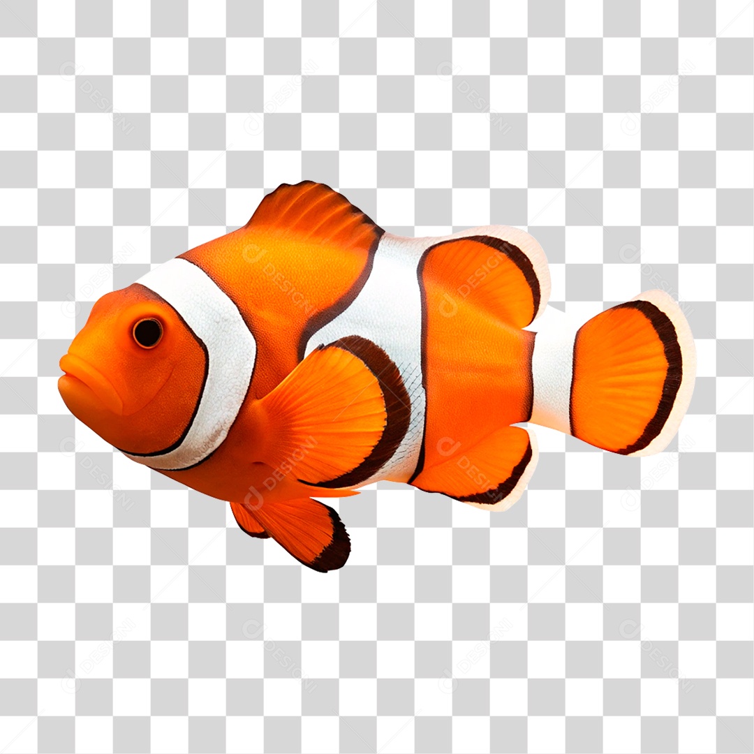 Peixe Palhaço PNG Transparente