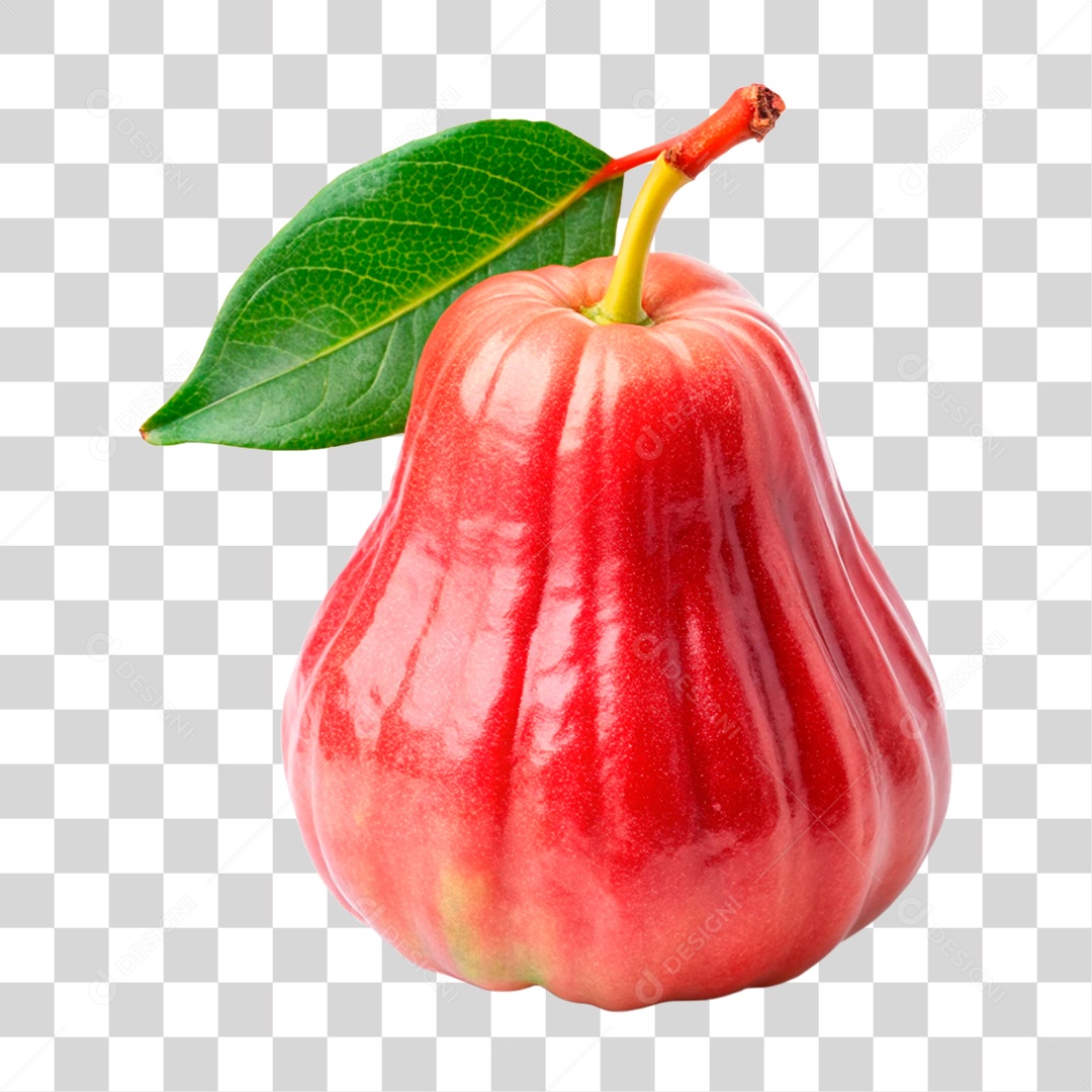 Jambo Rosa PNG Transparente