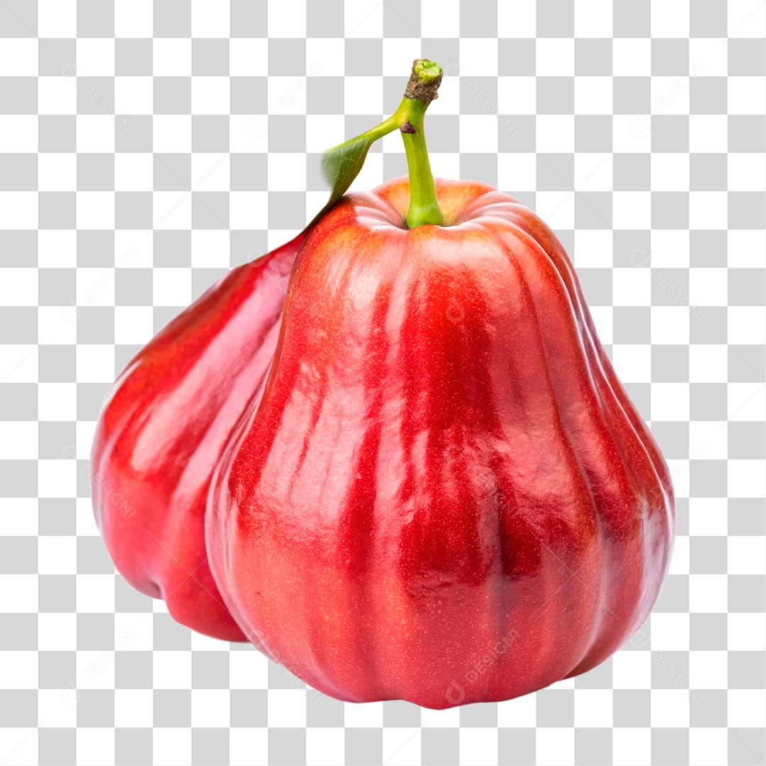 Jambo Rosa PNG Transparente