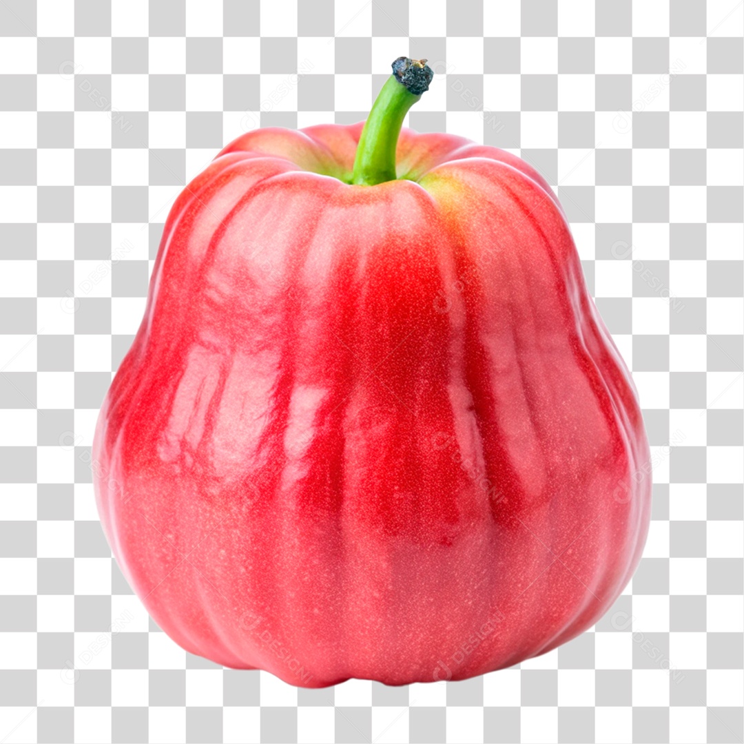 Jambo Rosa PNG Transparente