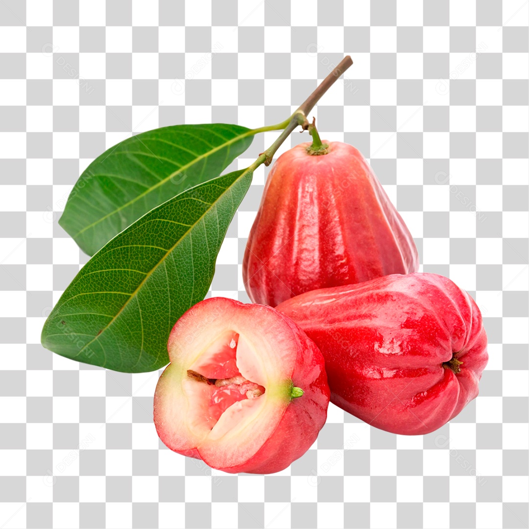 Jambo Rosa PNG Transparente