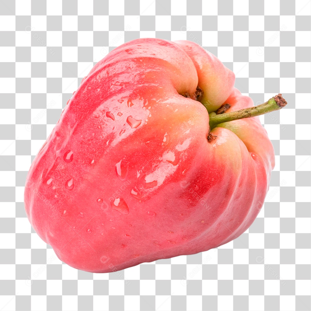 Jambo Rosa PNG Transparente