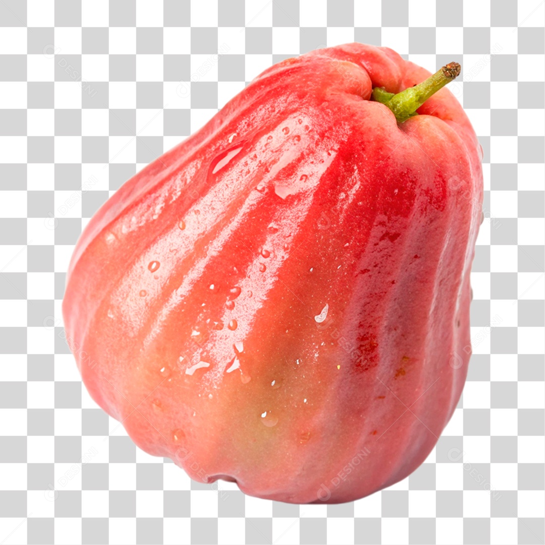 Jambo Rosa PNG Transparente