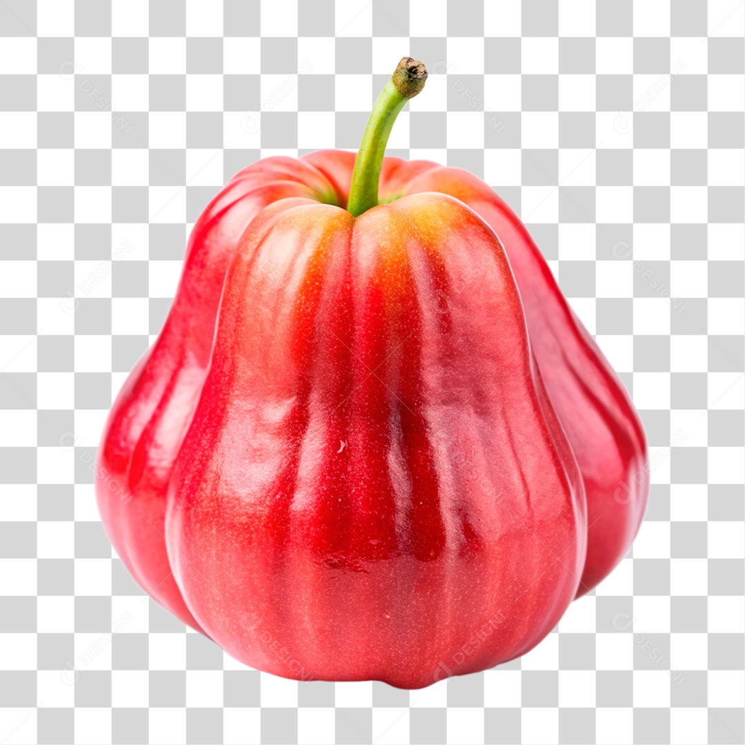 Jambo Rosa PNG Transparente