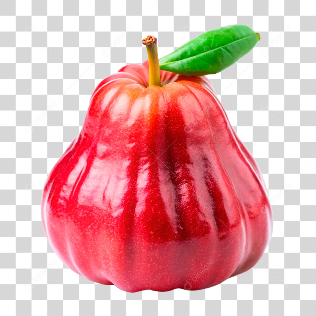 Jambo Rosa PNG Transparente