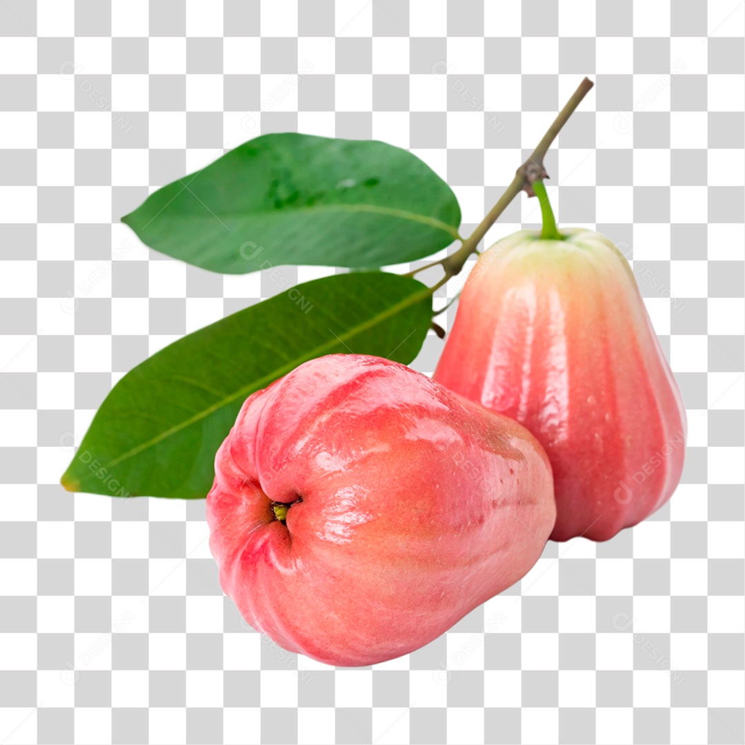 Jambo Rosa PNG Transparente