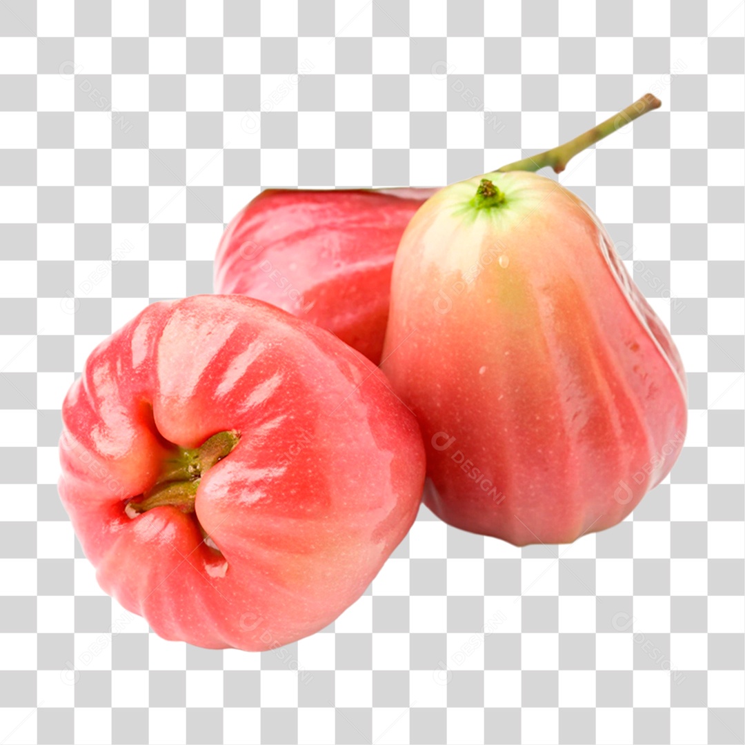 Jambo Rosa PNG Transparente