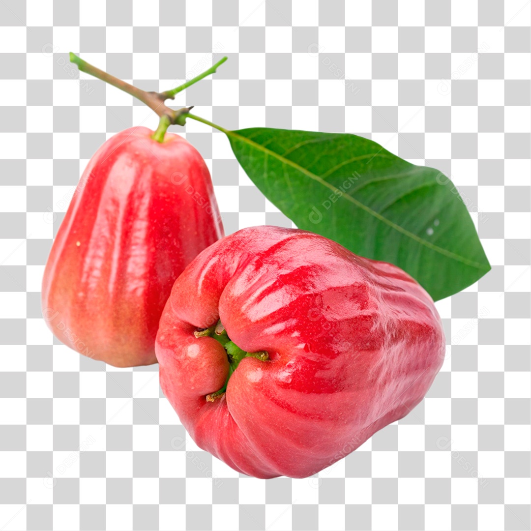 Jambo Rosa PNG Transparente