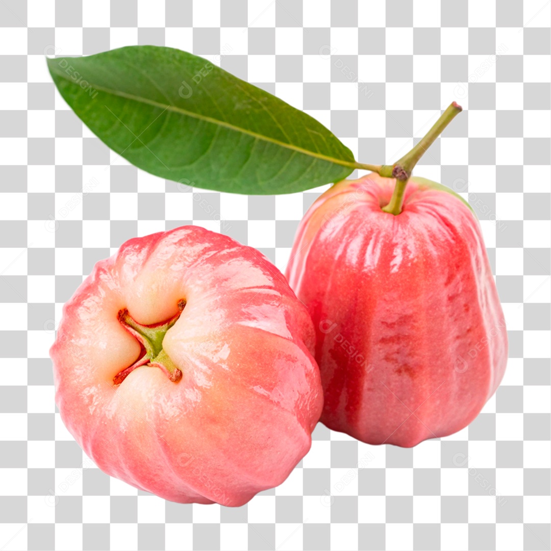 Jambo Rosa PNG Transparente