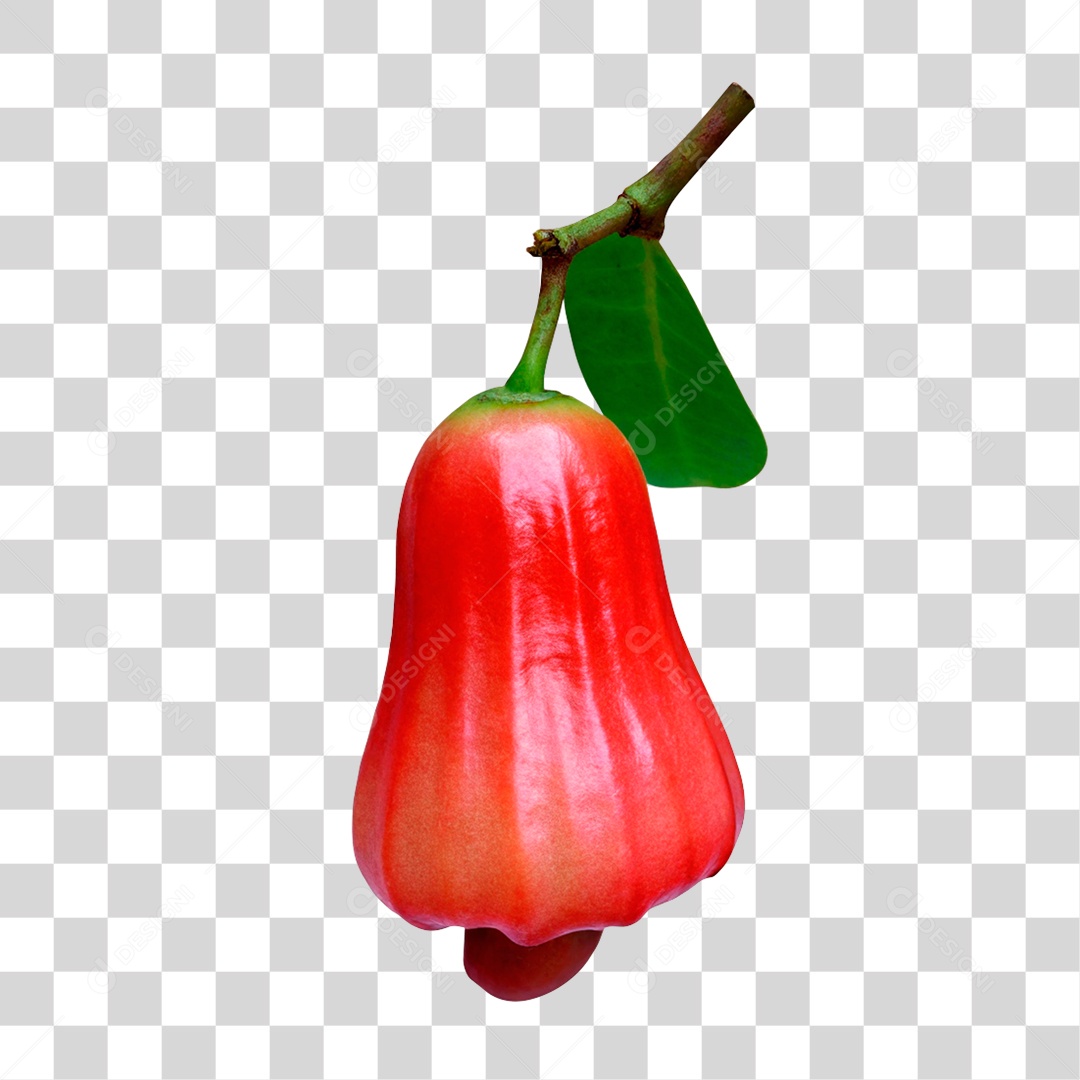 Jambo Rosa PNG Transparente