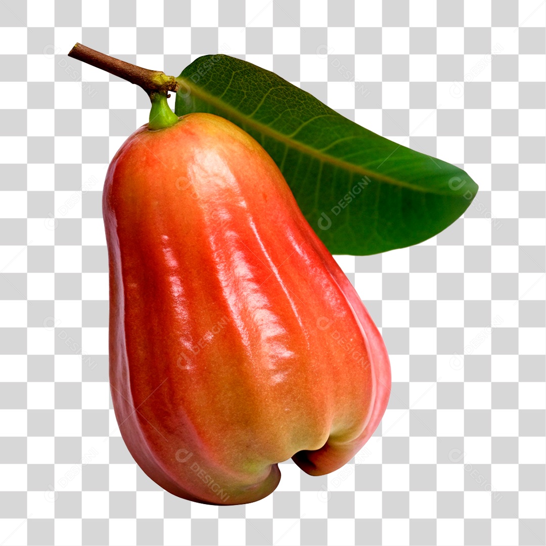 Jambo Rosa PNG Transparente