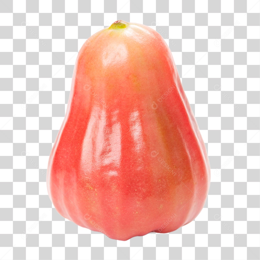 Jambo Rosa PNG Transparente