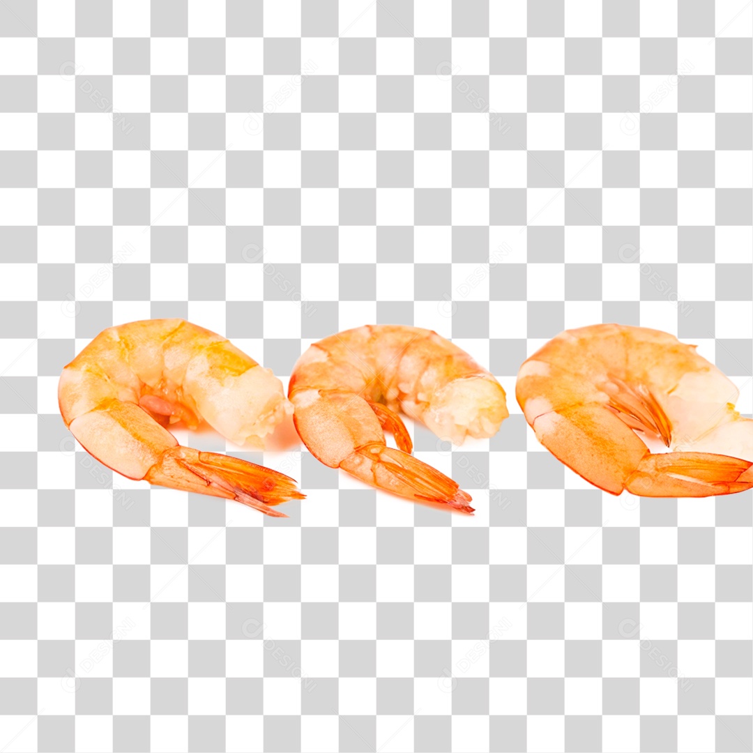 Camarões PNG Transparente
