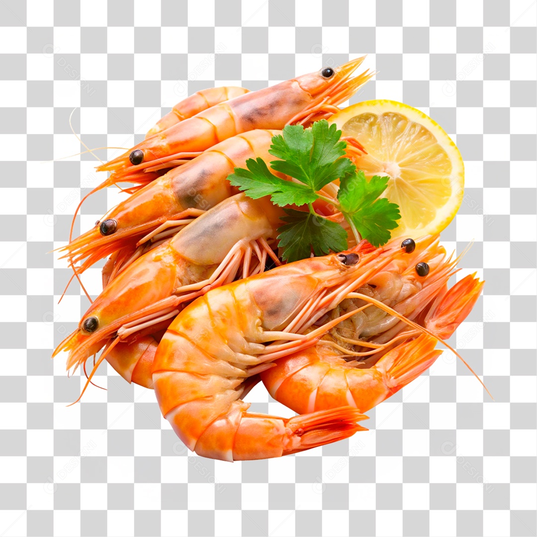 Camarões Marinho PNG Transparente