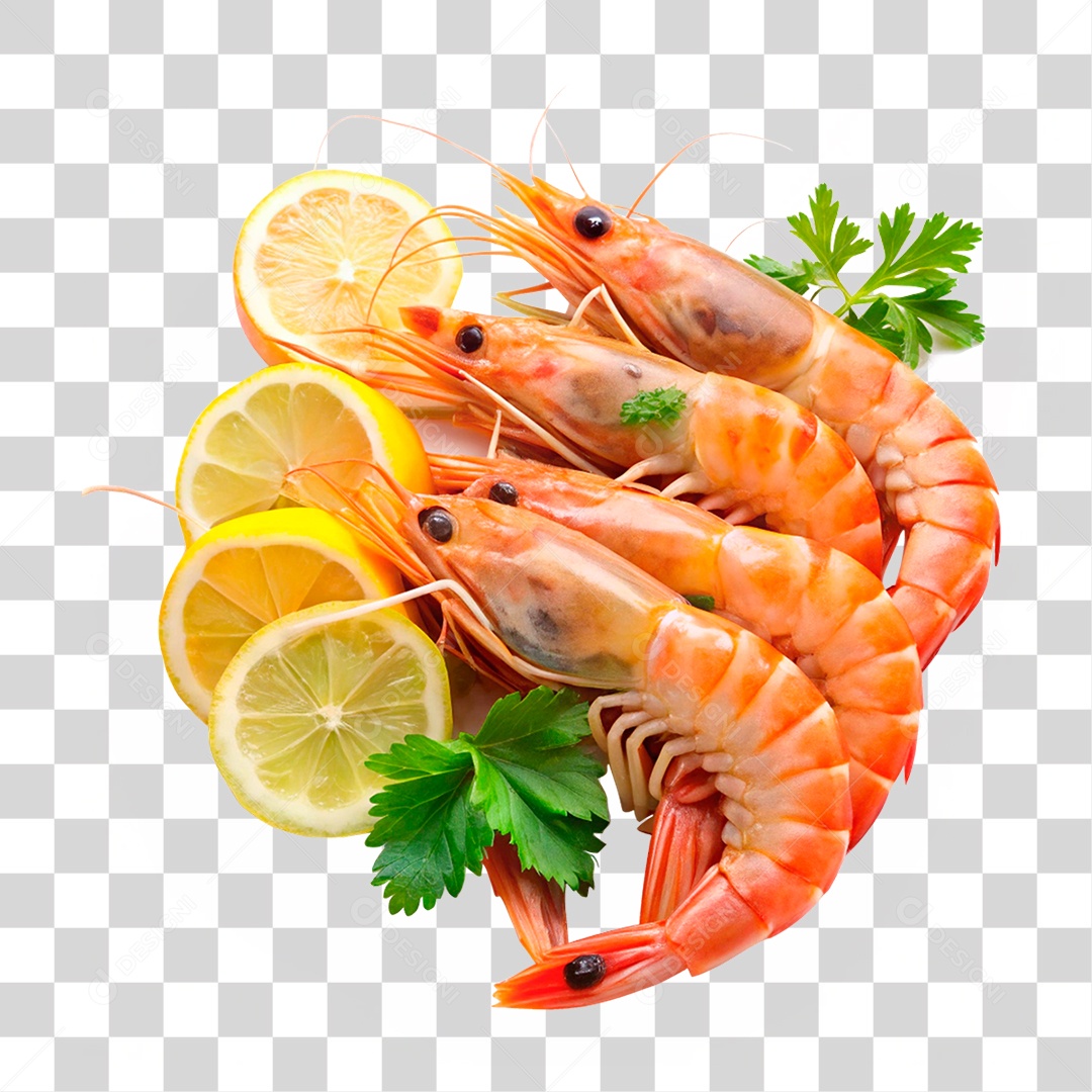 Camarões Marinho PNG Transparente