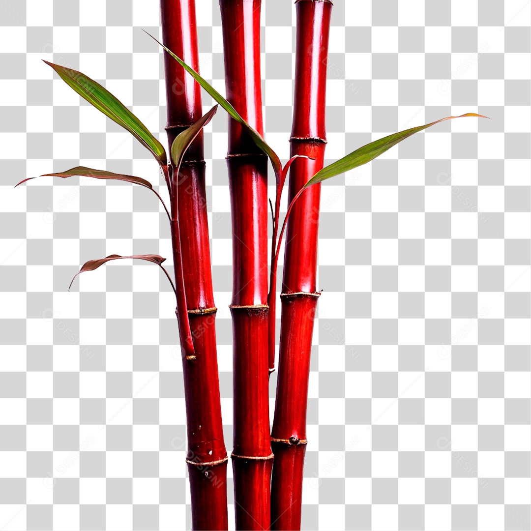 Bambu Verde PNG Transparente