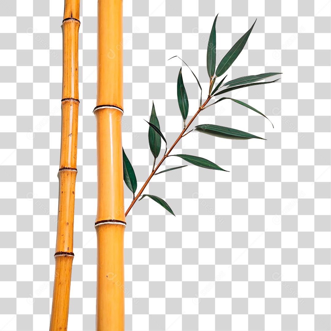 Yellow Bamboo Transparent PNG