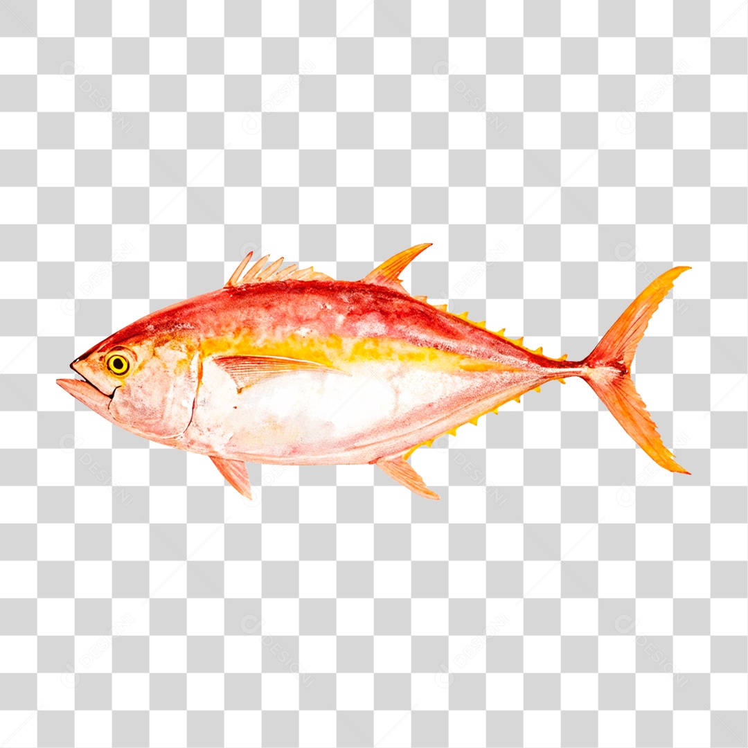 Peixe Atum PNG Transparente