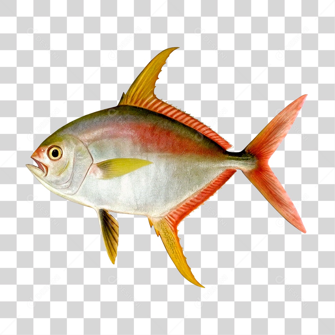 Peixe Atum PNG Transparente