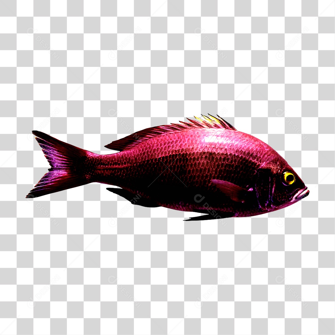 Peixe Cará PNG Transparente