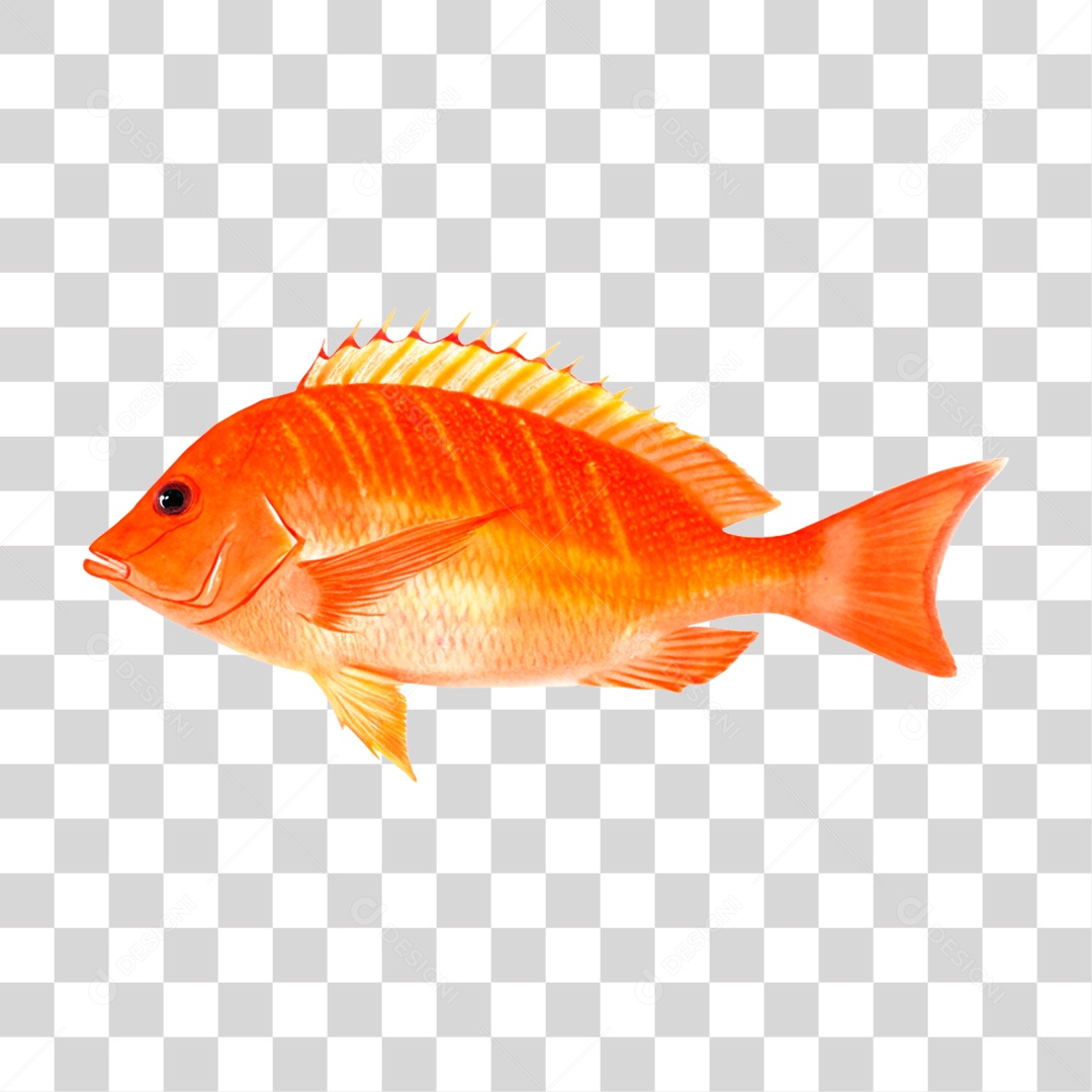 Peixe Cará PNG Transparente