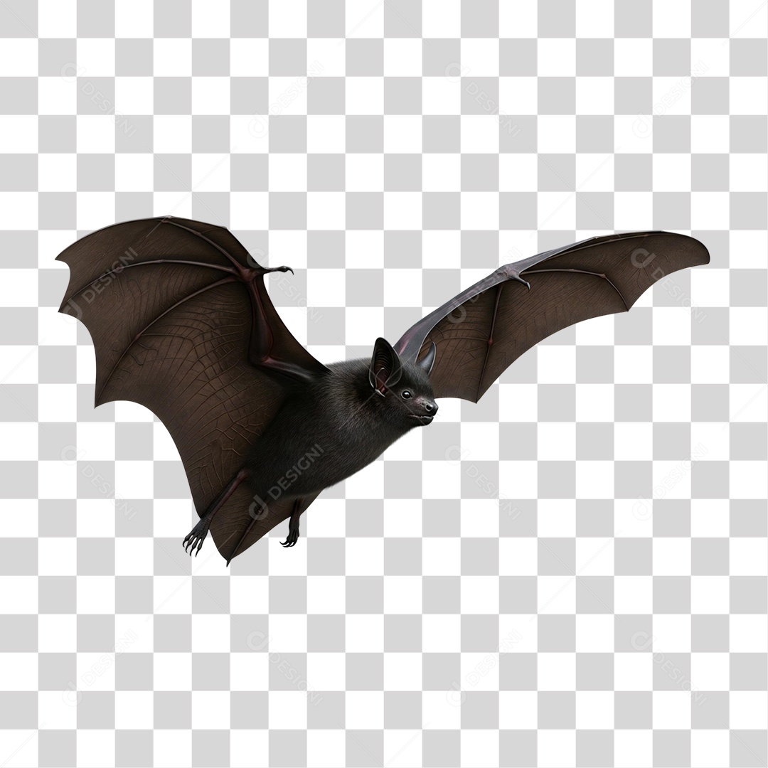 Morcego Decoração de Halloween PNG Transparente