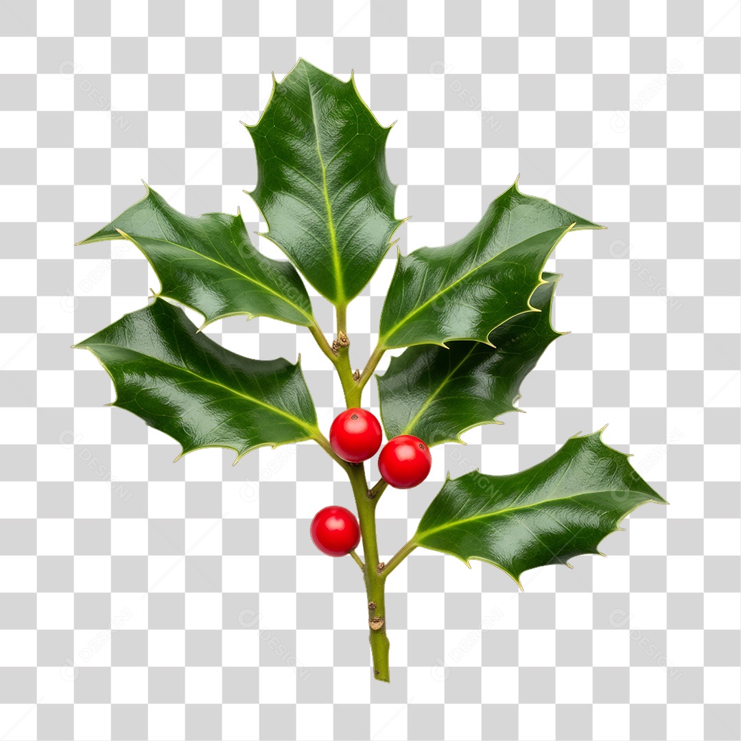 Galho Enfeite Decoração de Natal PNG Transparente