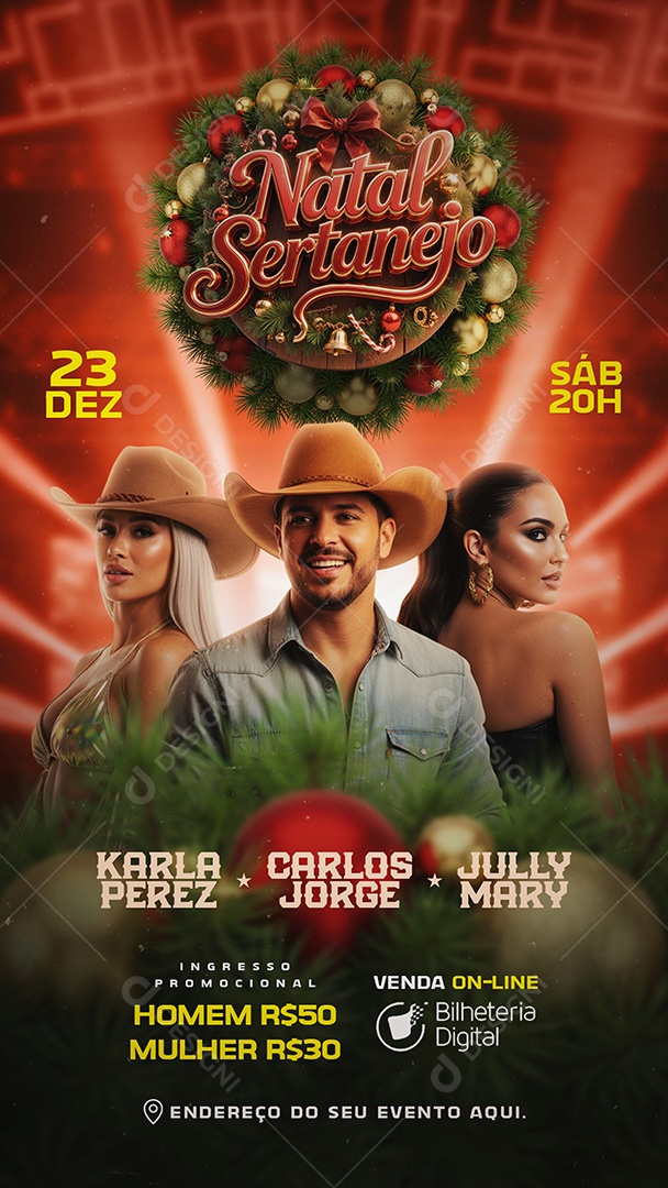 Story Flyer Natal Sertanejo Social Media PSD Editável