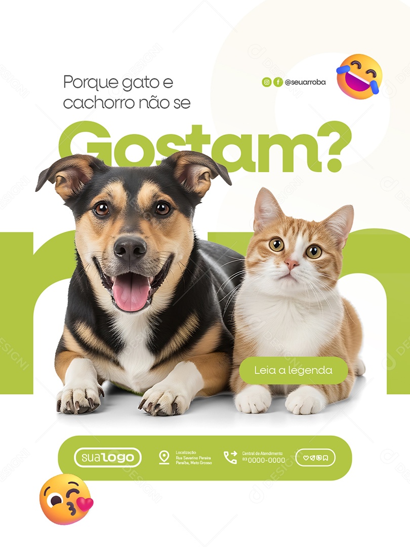 Veterinário Porque Gato e Cachorro Não Se Gostam Social Media PSD Editável