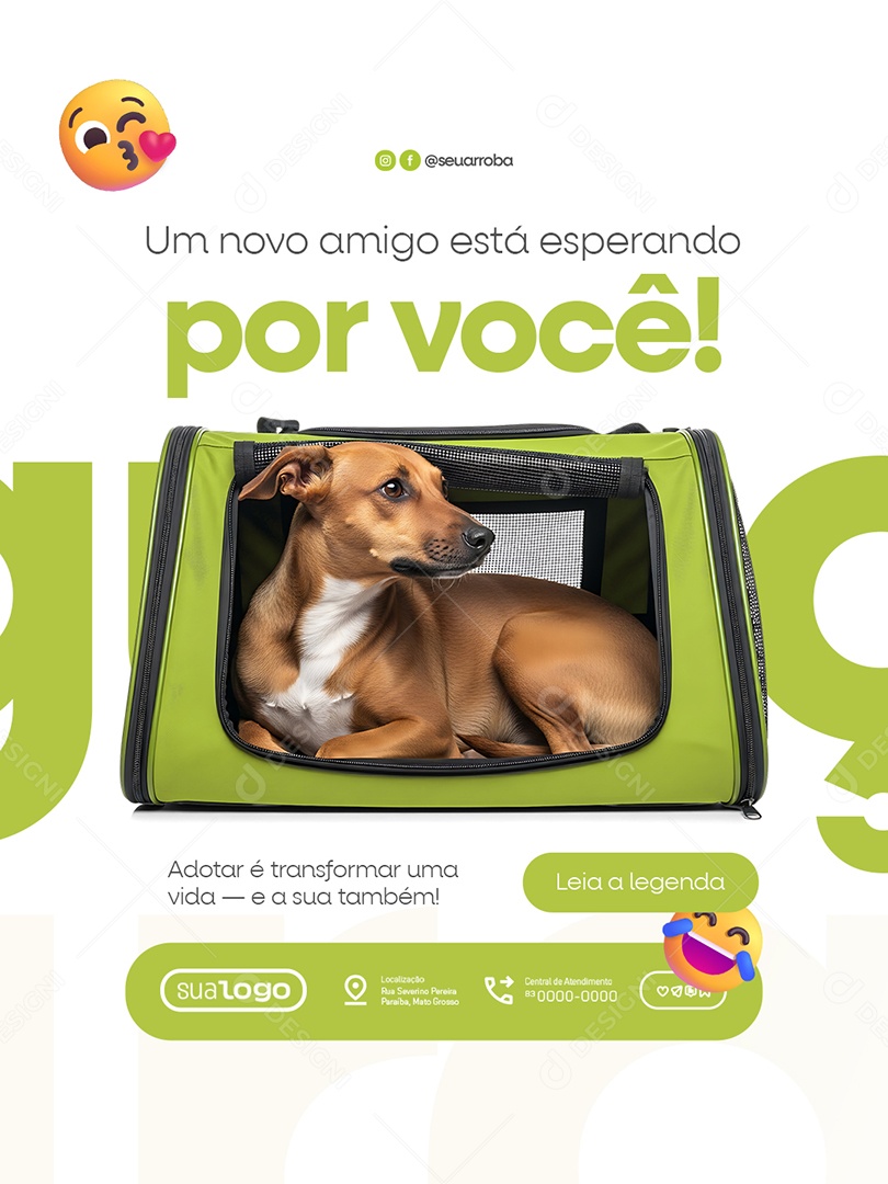 Veterinário Um Novo Amigo Está Esperando Por Você Social Media PSD Editável