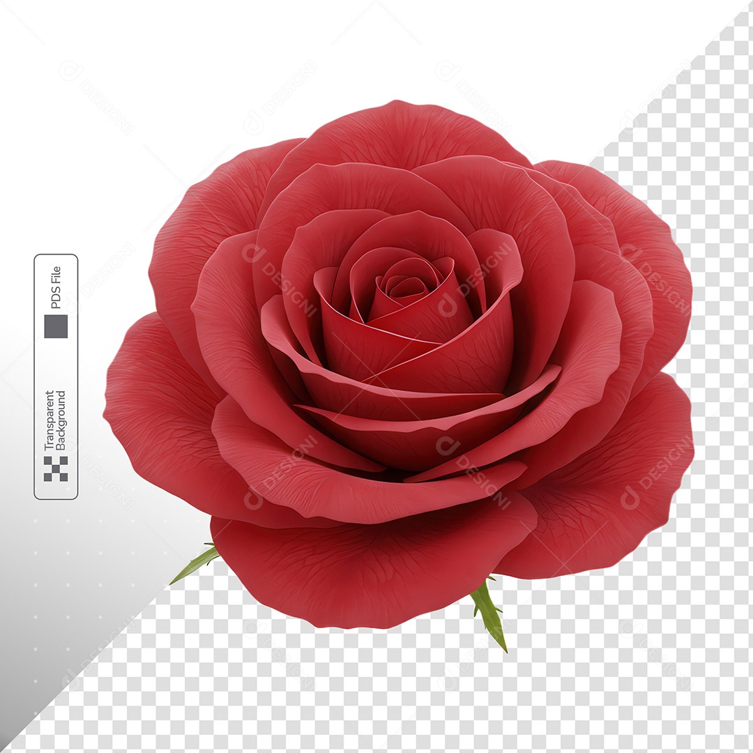 Rosa Vermelha 3D Flor Realista PSD