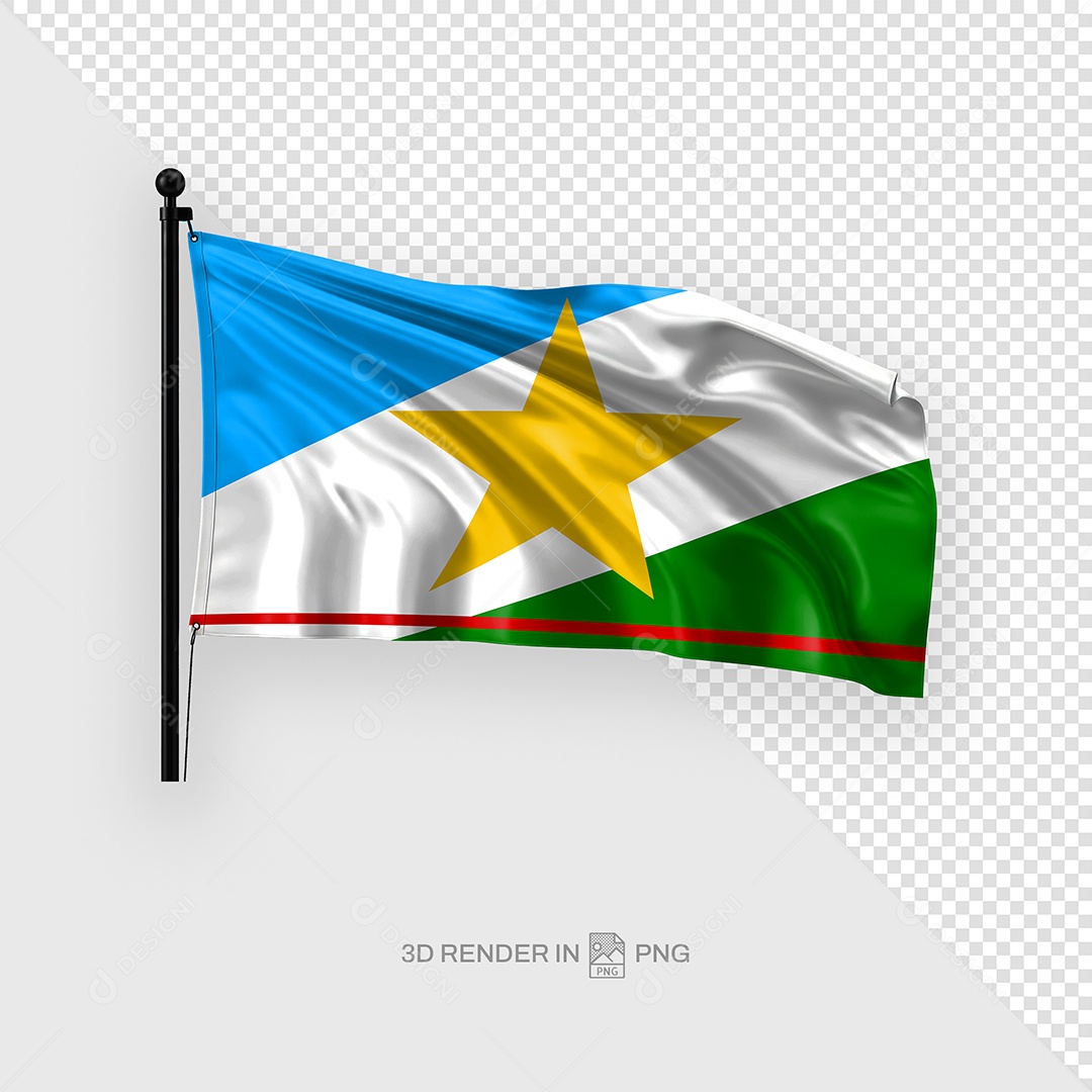Bandeira Roraima PSD