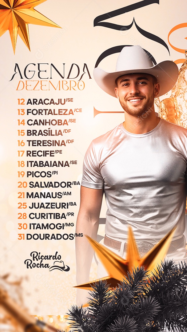 Story Flyer Próximos Shows Agenda Dezembro Ricardo Rocha Social Media PSD Editável