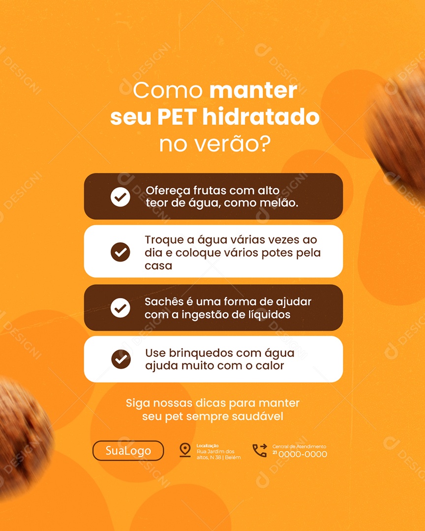 Petshop Como Manter Seu Pet Hidratado no Verão Social Media PSD Editável