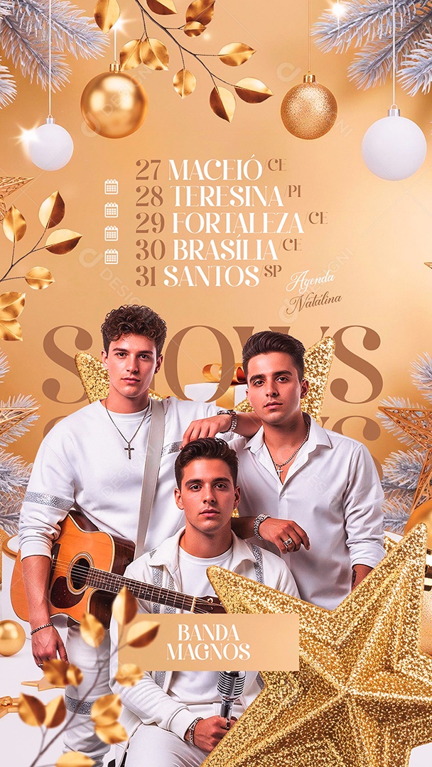 Story Flyer Próximos Shows Agenda Natalina Social Media PSD Editável