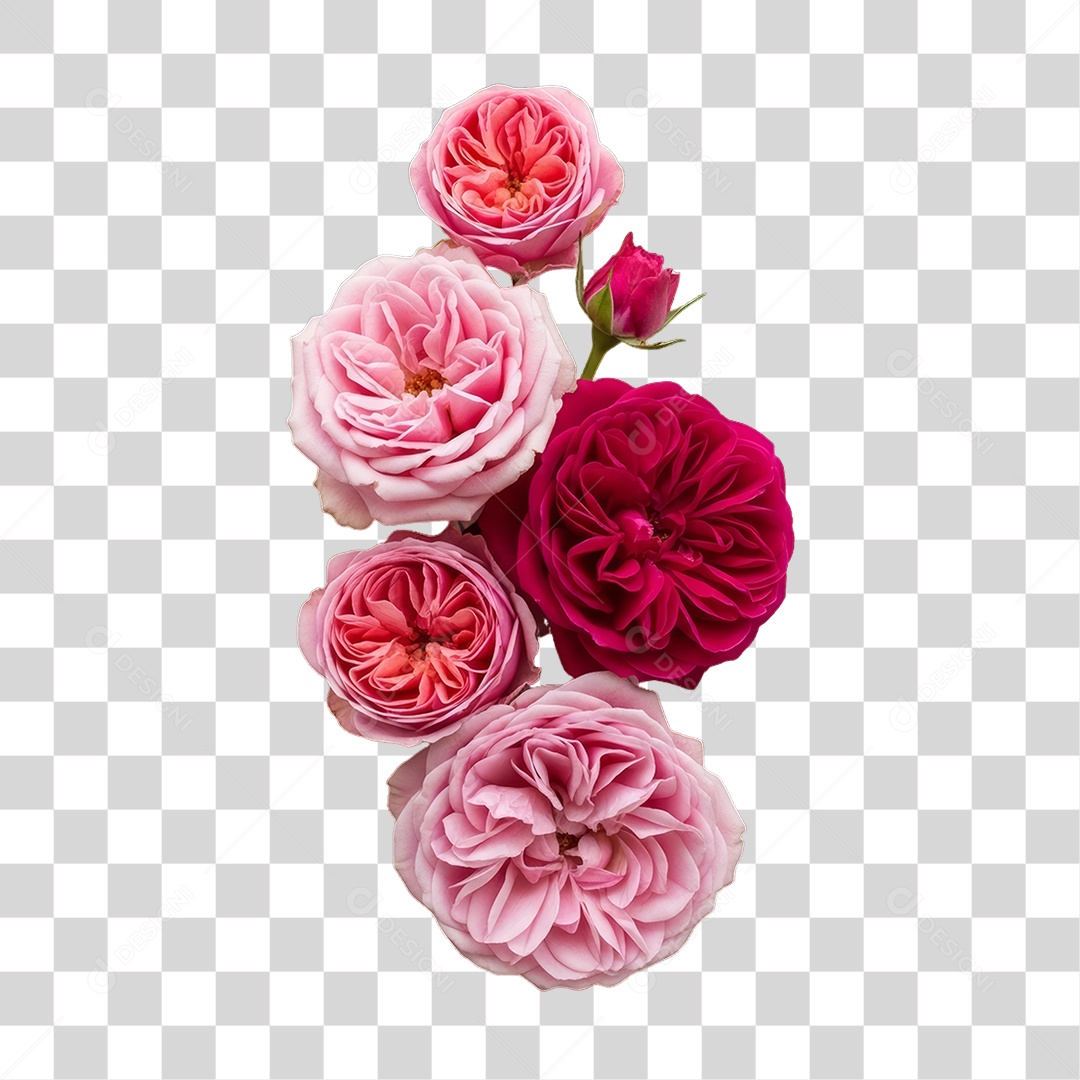 Flores Rosas Dia da Mulher PNG Transparente