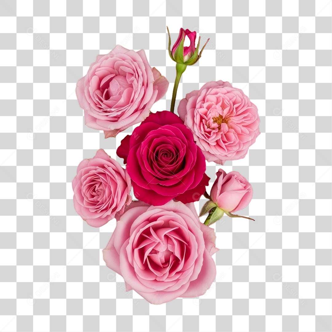 Flores Rosas Dia da Mulher PNG Transparente