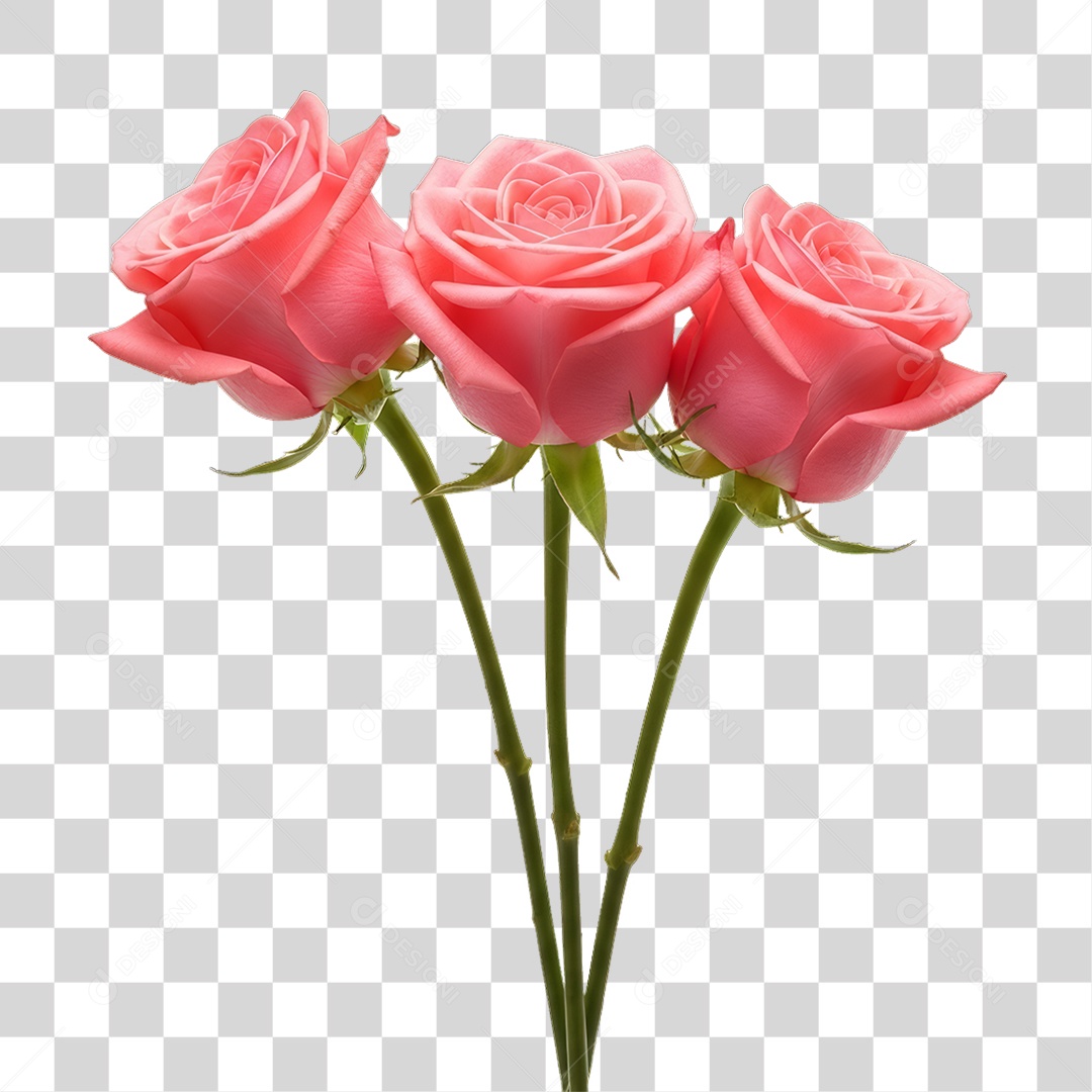 Flores Rosas Dia da Mulher PNG Transparente