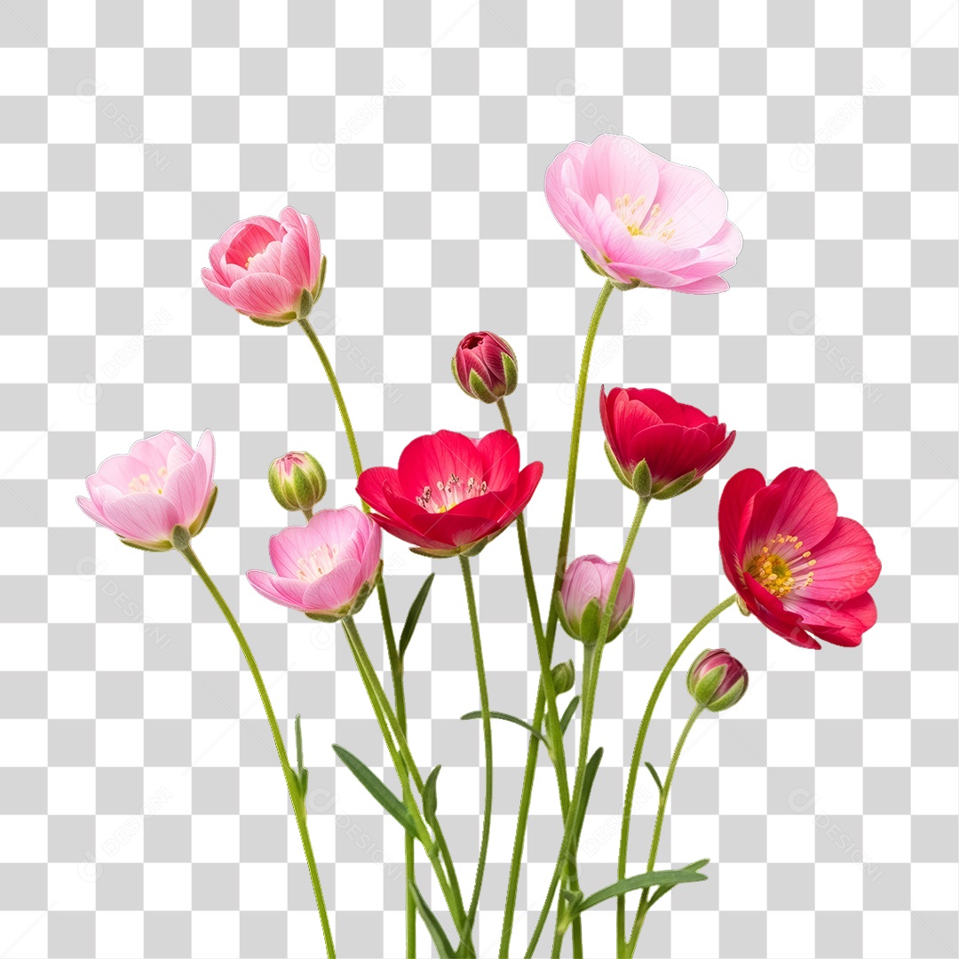 Flores Rosas Dia da Mulher PNG Transparente