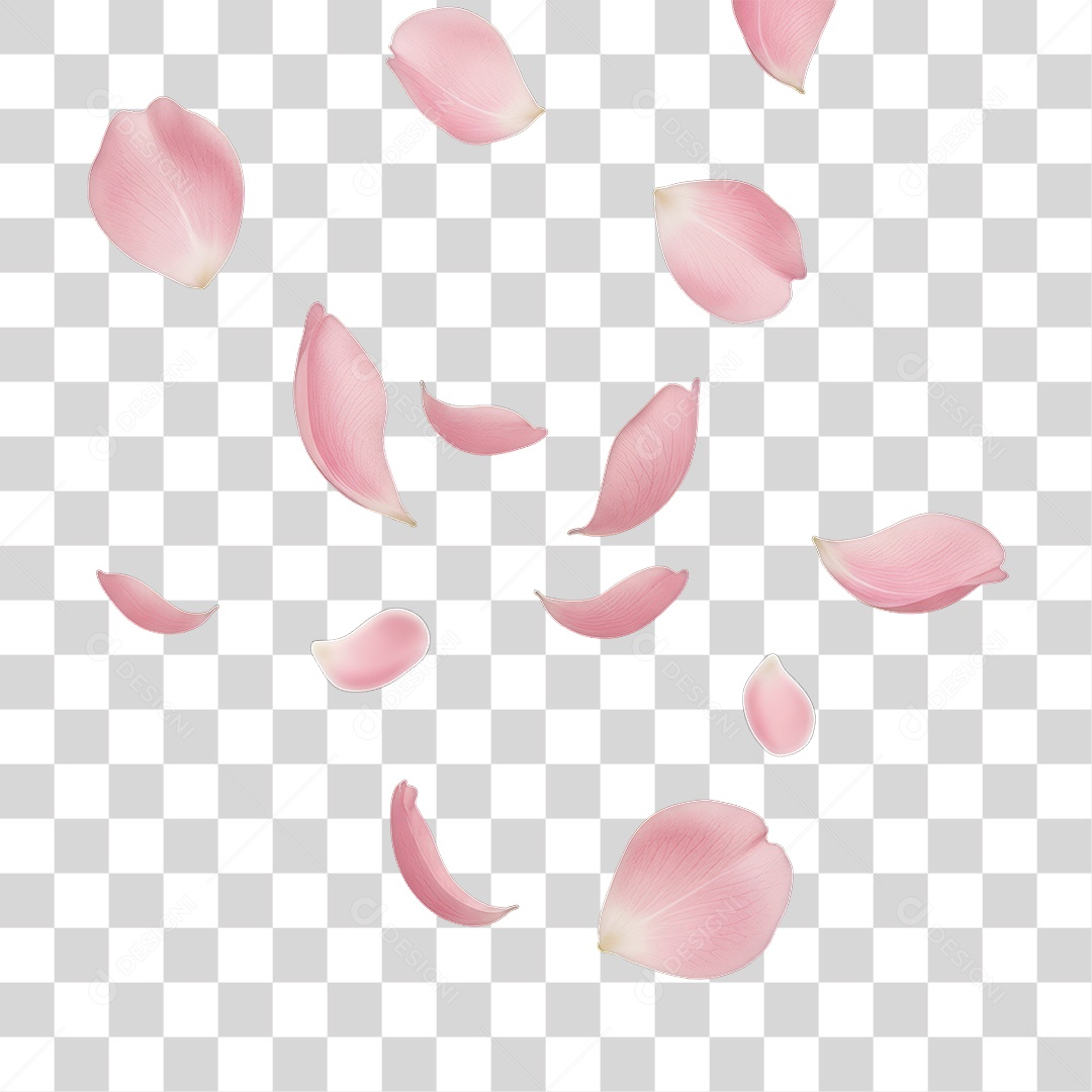 Pétalas de Flores Rosas Dia da Mulher PNG Transparente