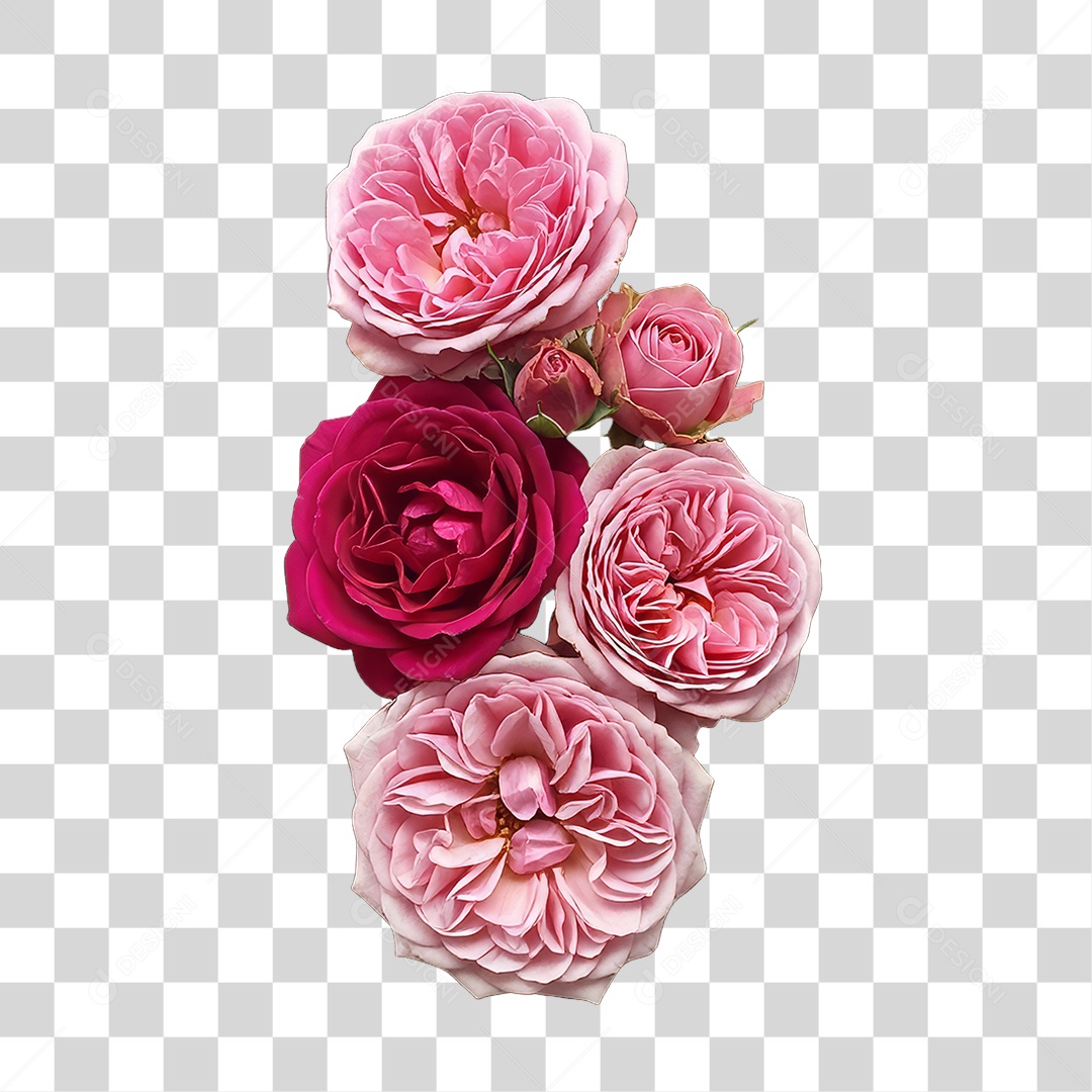 Flores Rosas Dia da Mulher PNG Transparente