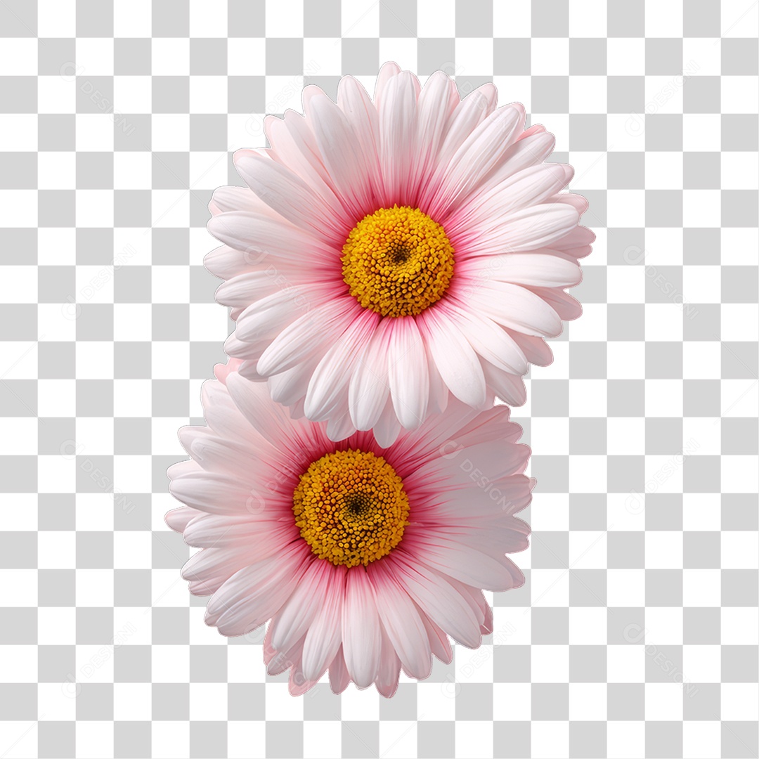 Flores Rosas Dia da Mulher PNG Transparente