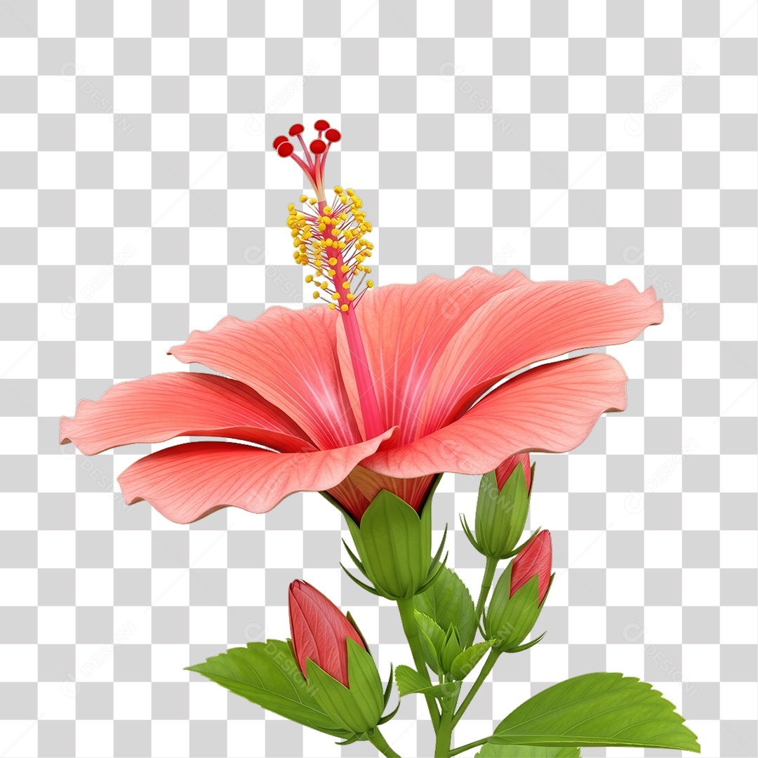 Flor Rosa Dia da Mulher PNG Transparente