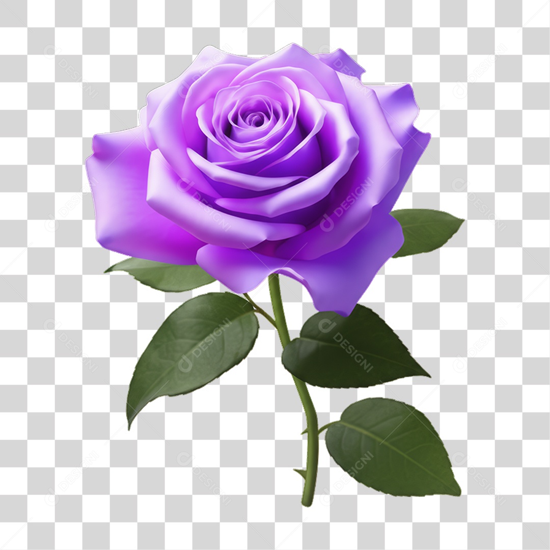 Flor Rosa Dia da Mulher PNG Transparente