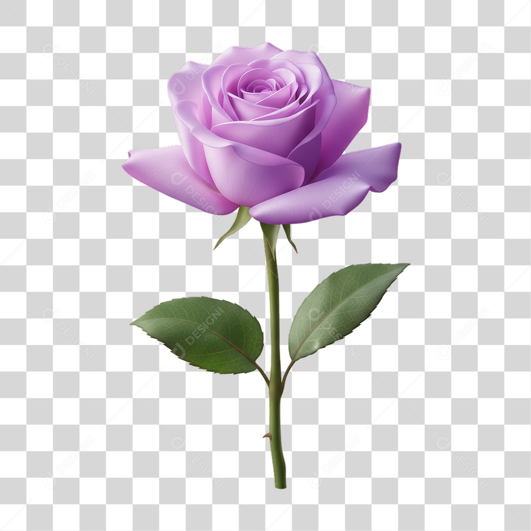 Flor Rosa Dia da Mulher PNG Transparente