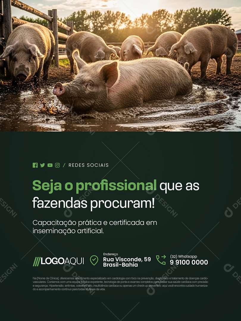Inseminação Seja o Profissional Que as Fazendas Procuram Social Media PSD Editável
