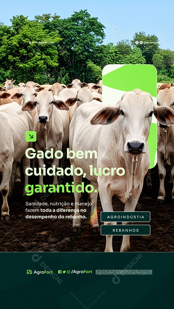 Story Agroindústria Gado Bem Cuidado Social Media PSD Editável